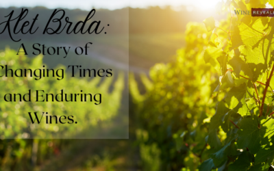 Klet Brda: A Story of Changing Times and Enduring Wines