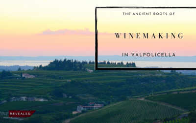 The Ancient Roots of Winemaking in Valpolicella